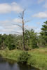 2011-07-13-09h19m56