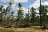 2011-07-13-09h21m10