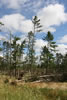 2011-07-13-09h21m38