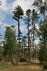2011-07-13-09h22m34
