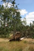 2011-07-13-09h22m50
