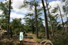 2011-07-13-09h25m40