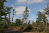 2011-07-13-09h25m58