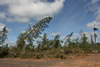 2011-07-13-09h26m16