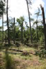 2011-07-13-09h26m54