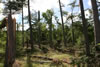 2011-07-13-09h27m00