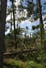 2011-07-13-09h27m16