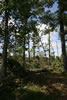 2011-07-13-09h27m48