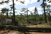 2011-07-13-09h28m52