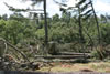 2011-07-13-09h28m57