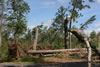 2011-07-13-09h29m42