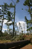 2011-07-13-09h29m58