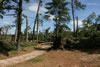 2011-07-13-09h41m06