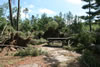 2011-07-13-09h41m38