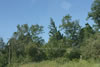 2011-07-02-08h10m39