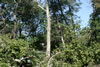 2011-07-02-08h13m18