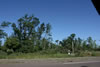 2011-07-02-08h28m51