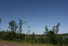 2011-07-02-08h29m32