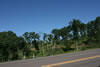 2011-07-02-08h31m54