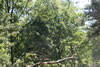 2011-07-02-09h38m34