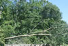 2011-07-02-09h43m20