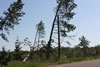 2011-07-04-08h43m48