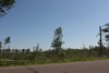 2011-07-04-08h44m02