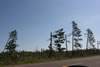 2011-07-04-08h44m06