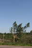2011-07-04-08h45m09