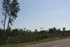2011-07-04-08h47m35