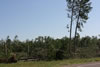 2011-07-04-08h47m36