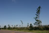 2011-07-04-08h47m51