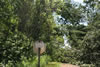 2011-07-06-11h16m46