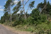 2011-07-06-12h20m58