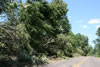 2011-07-06-12h21m27