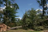 2011-07-06-12h22m36