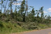 2011-07-06-12h26m47
