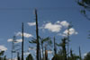 2011-07-06-12h27m02