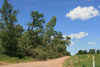 2011-07-06-12h28m15