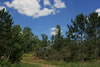 2011-07-06-12h28m52