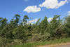 2011-07-06-12h28m58-