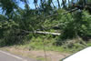 2011-07-06-12h29m03