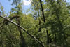 2011-07-06-12h29m53