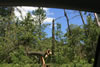 2011-07-06-12h33m21