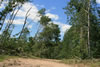 2011-07-06-12h33m44