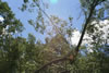 2011-07-06-12h36m45