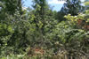 2011-07-06-12h37m13