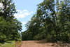 2011-07-06-12h38m07