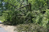 2011-07-06-12h39m48