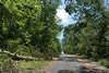 2011-07-06-12h42m09